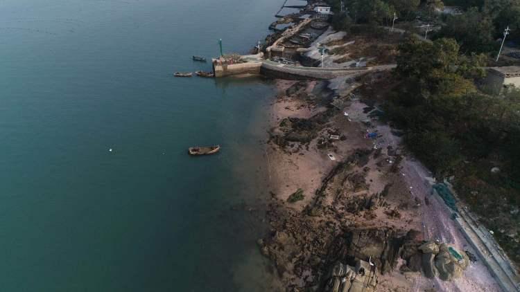 仁果类水果 第54页
