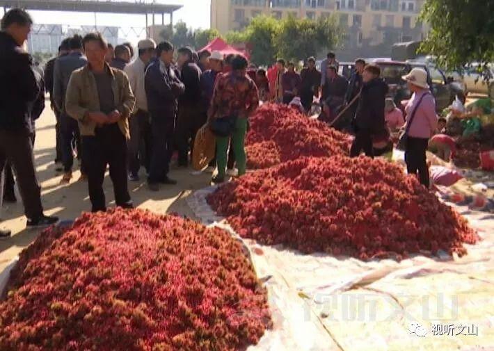 销售茶叶 第40页