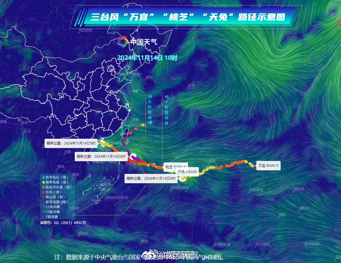 仁果类水果 第38页
