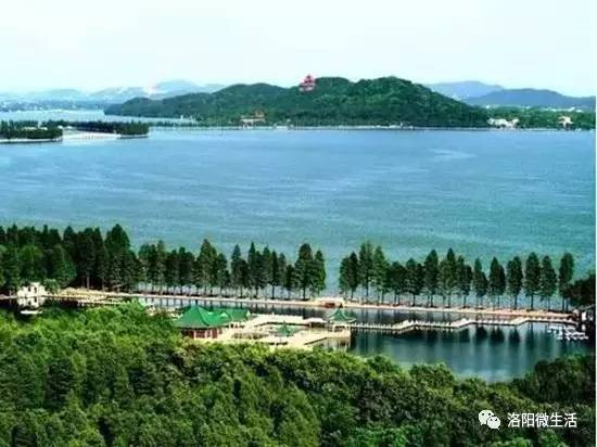 销售茶叶 第36页
