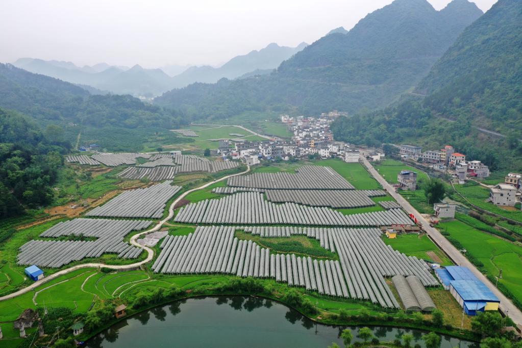 销售茶叶 第34页