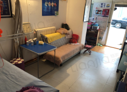 销售茶叶 第33页