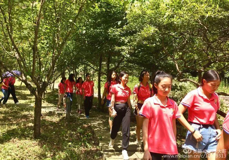 杭州绿谷项目最新进展，自然之旅迈入新里程碑阶段