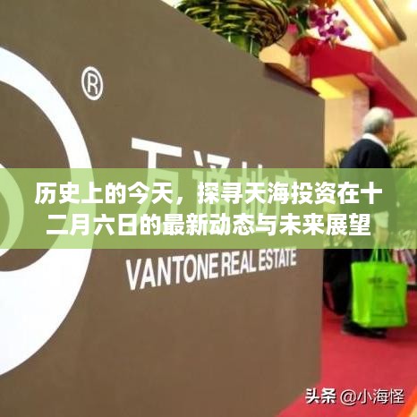 天海投资最新资讯与动态更新