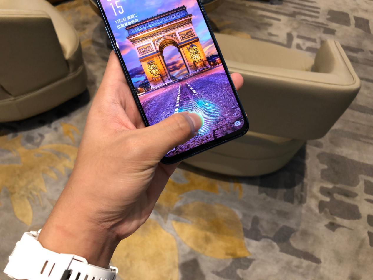 仁果类水果 第3页
